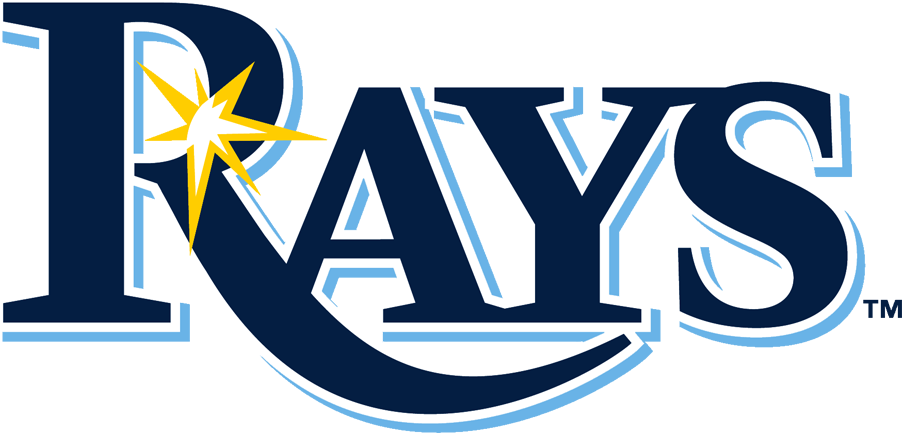 Tampa Bay Rays 2019-Pres Primary Logo DIY iron on transfer (heat transfer)...